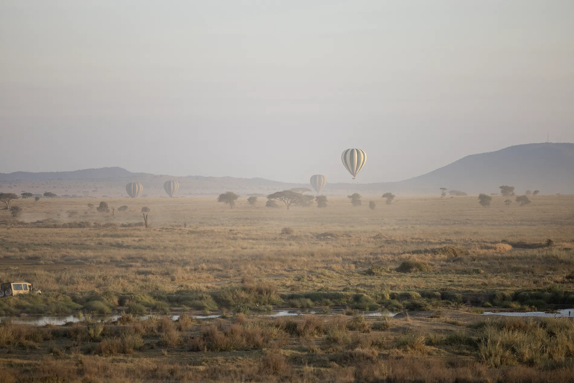 Mid-range safari lodge
