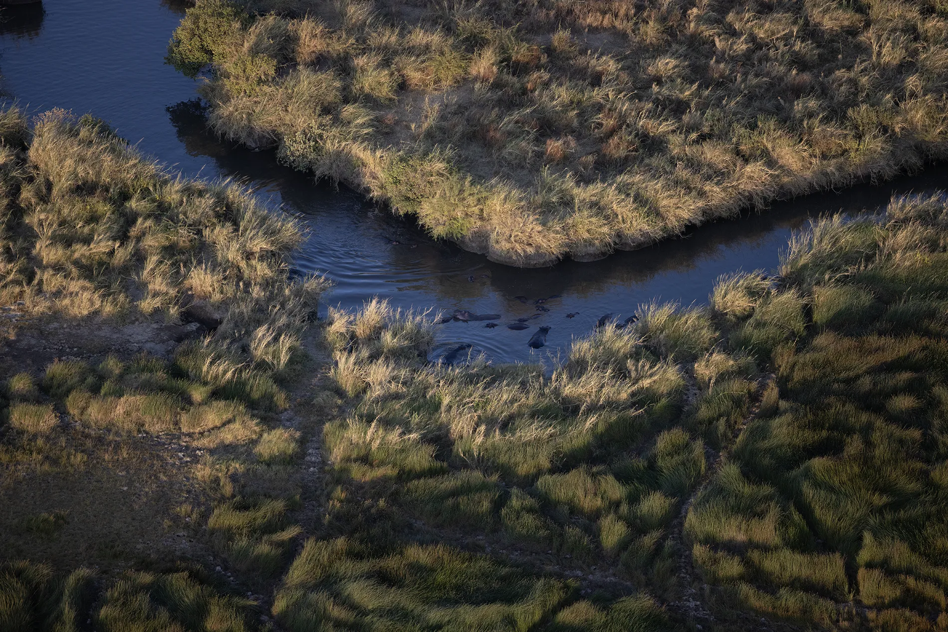 Balloon safari at sunrise