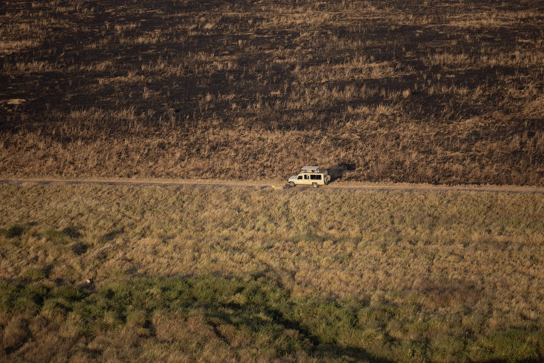 On the road in the Serengeti